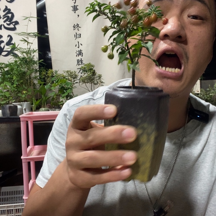 无花朵退款拉黑拉黑136
