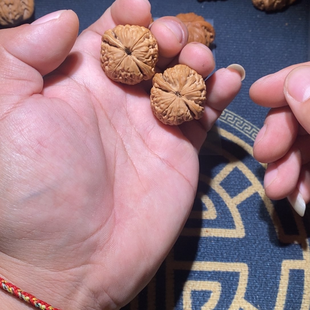 文玩核桃吊坠龙撵