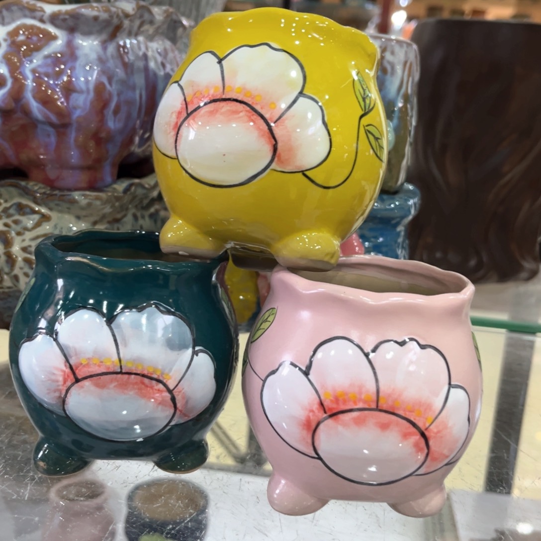 红陶福利福利福利福利