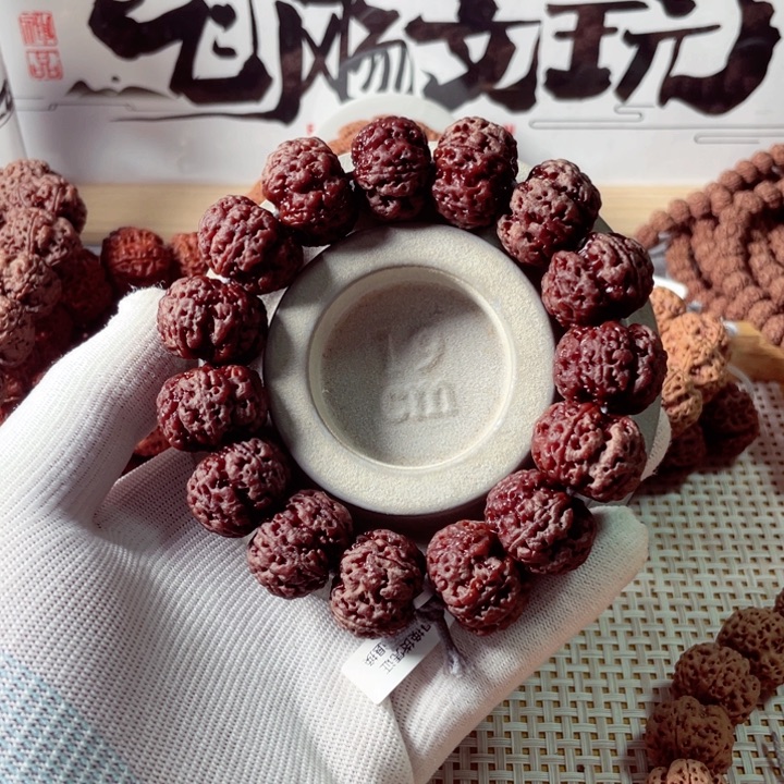 环***汇手串金刚菩提22龙鼎