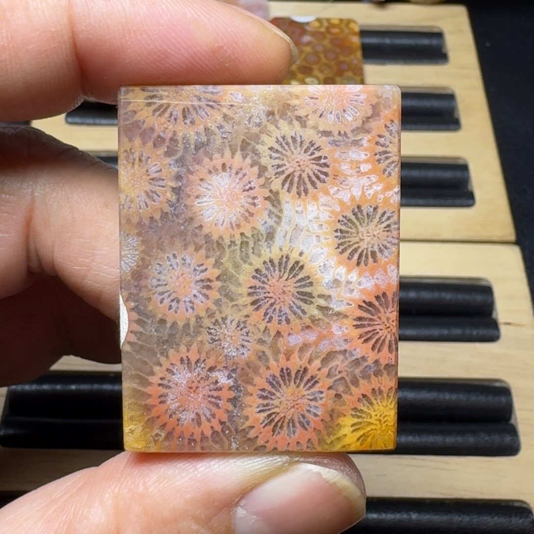 硅化珊瑚（珊瑚玉）纯天然色有机玉石未镶嵌