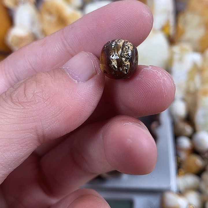 琥珀未镶嵌裸石我