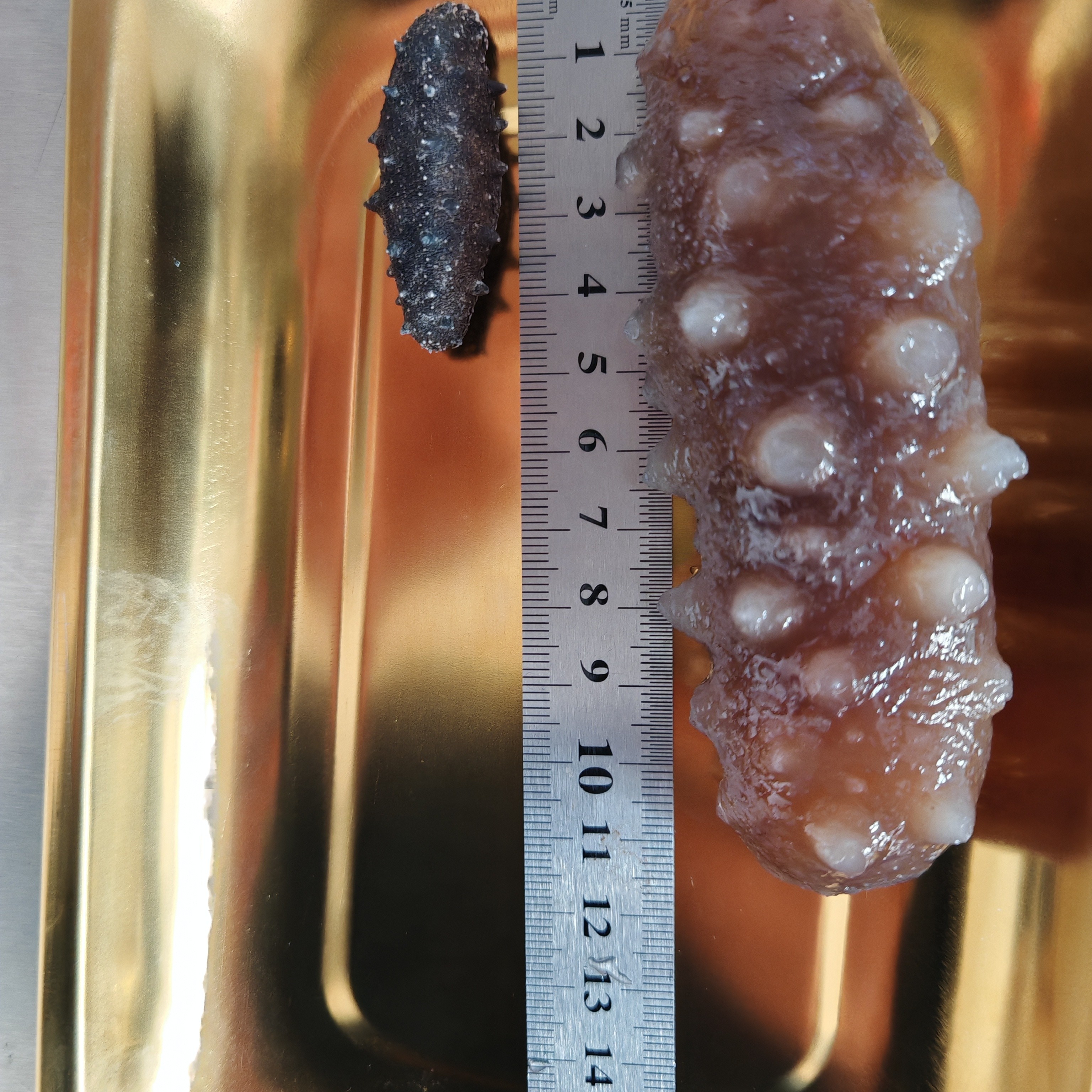 【敢承诺】大连外海，野生海参-纯淡干-70天超长质保 (90头左右)