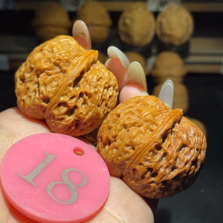 金蟾元宝39尺寸核桃