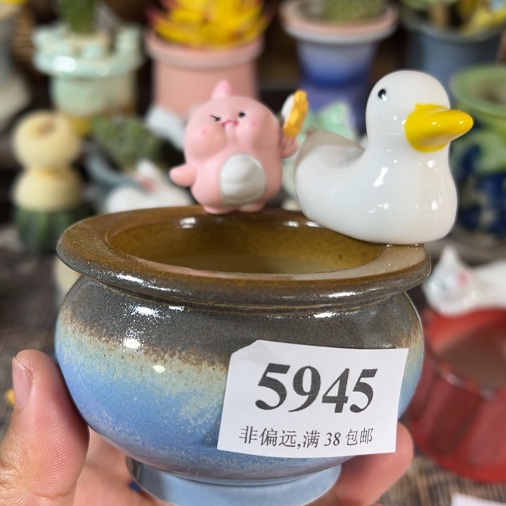口6 未满30运费到付