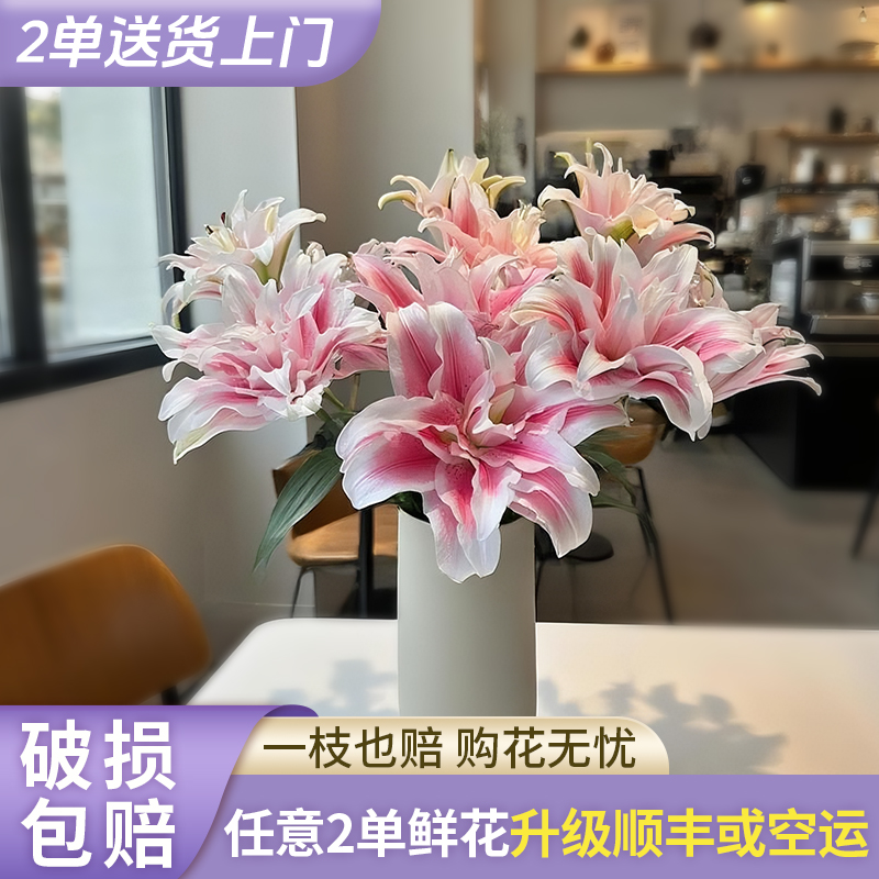 【源头优选】伊莎贝拉重瓣香水百合花水养插花用云南直发鲜花
