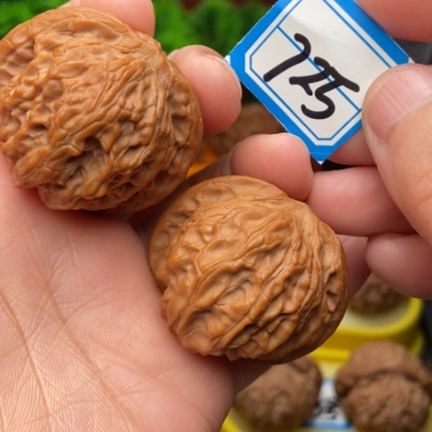 文玩核桃吊坠磨盘40.4