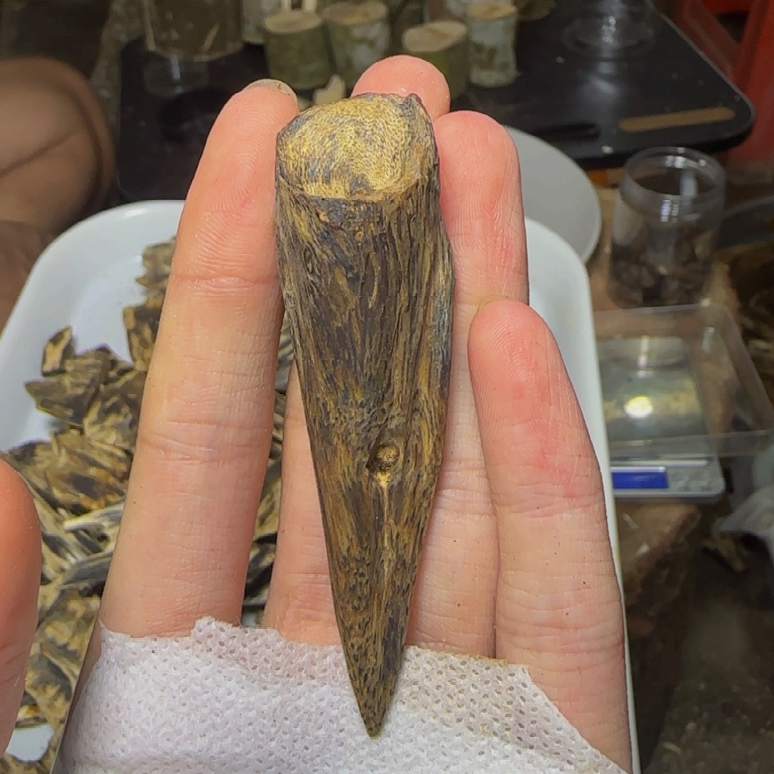 阿***亚沉香树丁碎料7克发一份