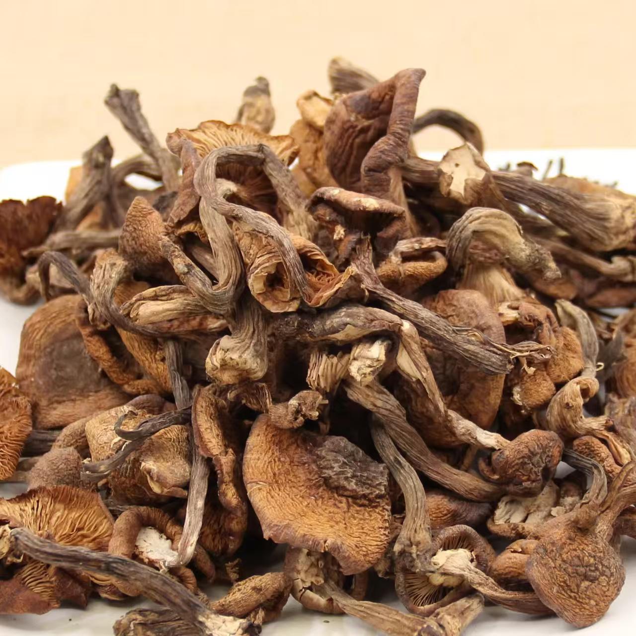 东北野生榛蘑250克500克