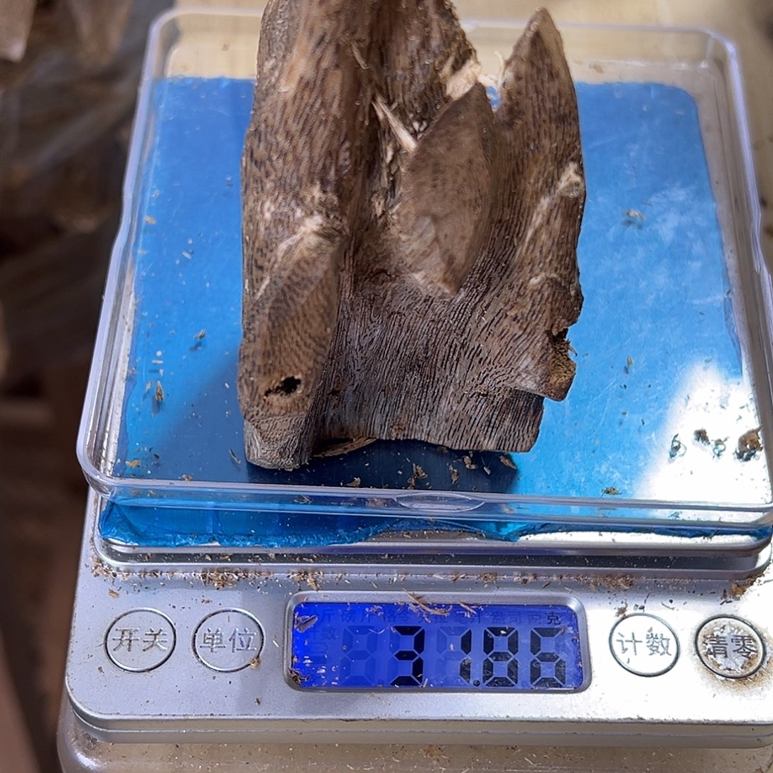 香料绿奇楠虫漏31克乌身