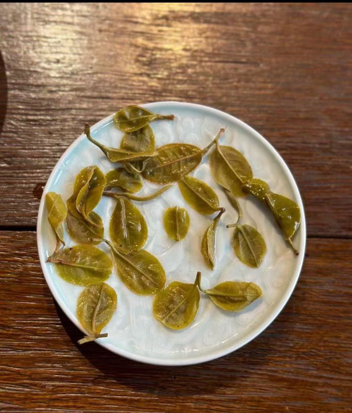 猫耳朵•不常见稀缺树种•香味回甘奇特