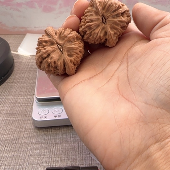 桃核吊坠?****核桃核桃