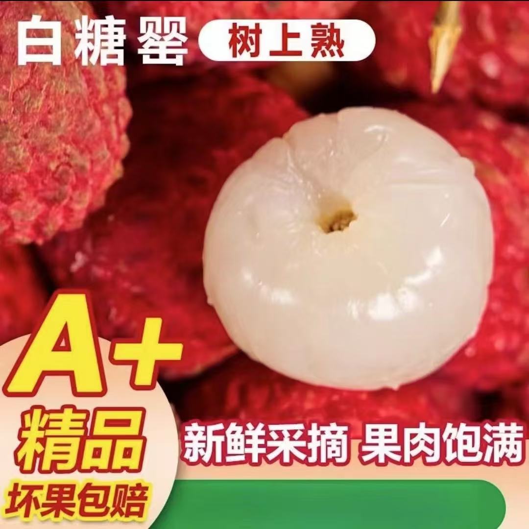 【京东兔优达顺丰冷链】广东白糖罂荔枝当季新鲜采摘发货sw