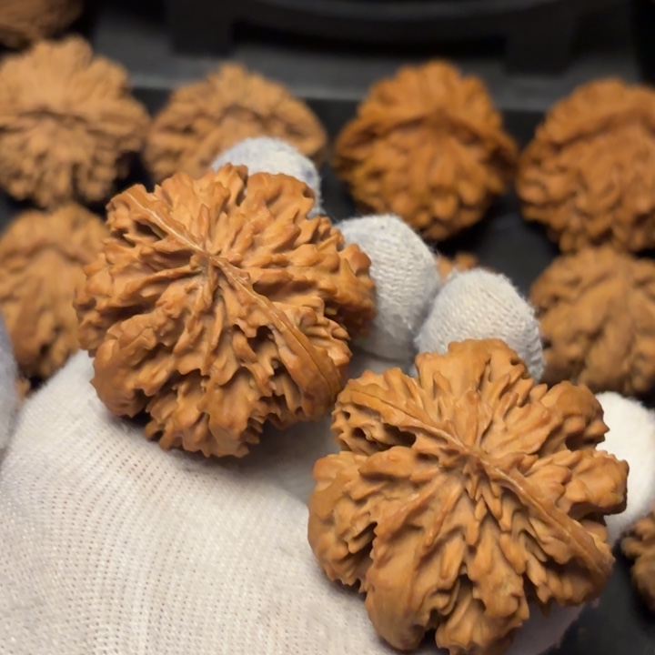 老***孩把件文玩核桃秦岭灯笼37