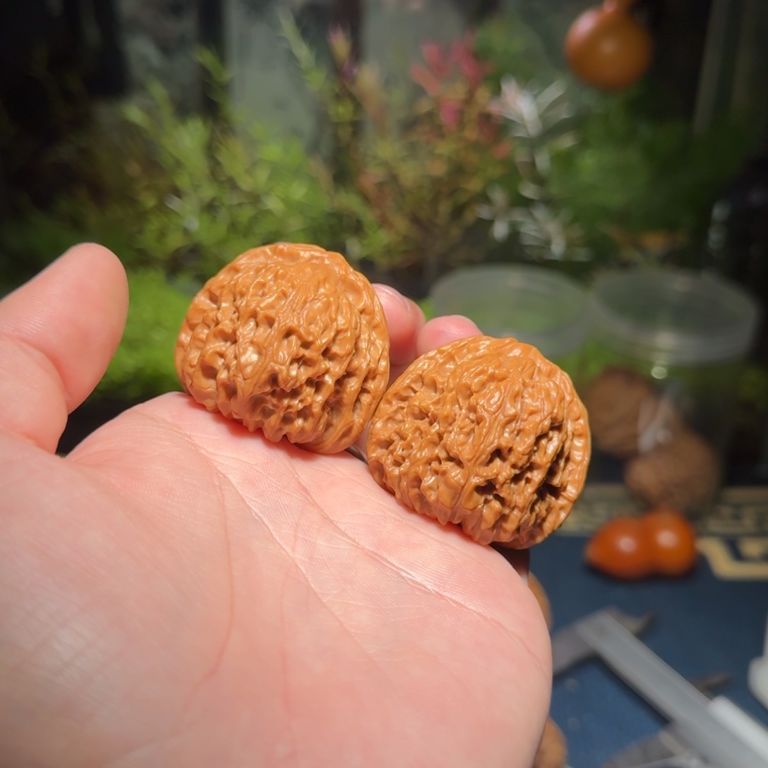 325号40南疆石南疆石南疆石南疆石