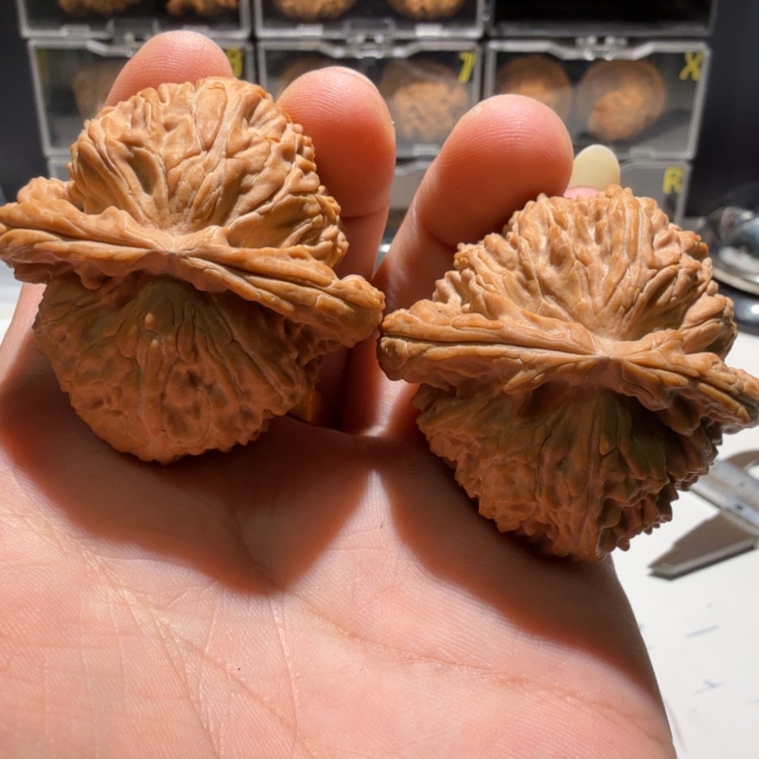 符***把件文玩核桃白狮子