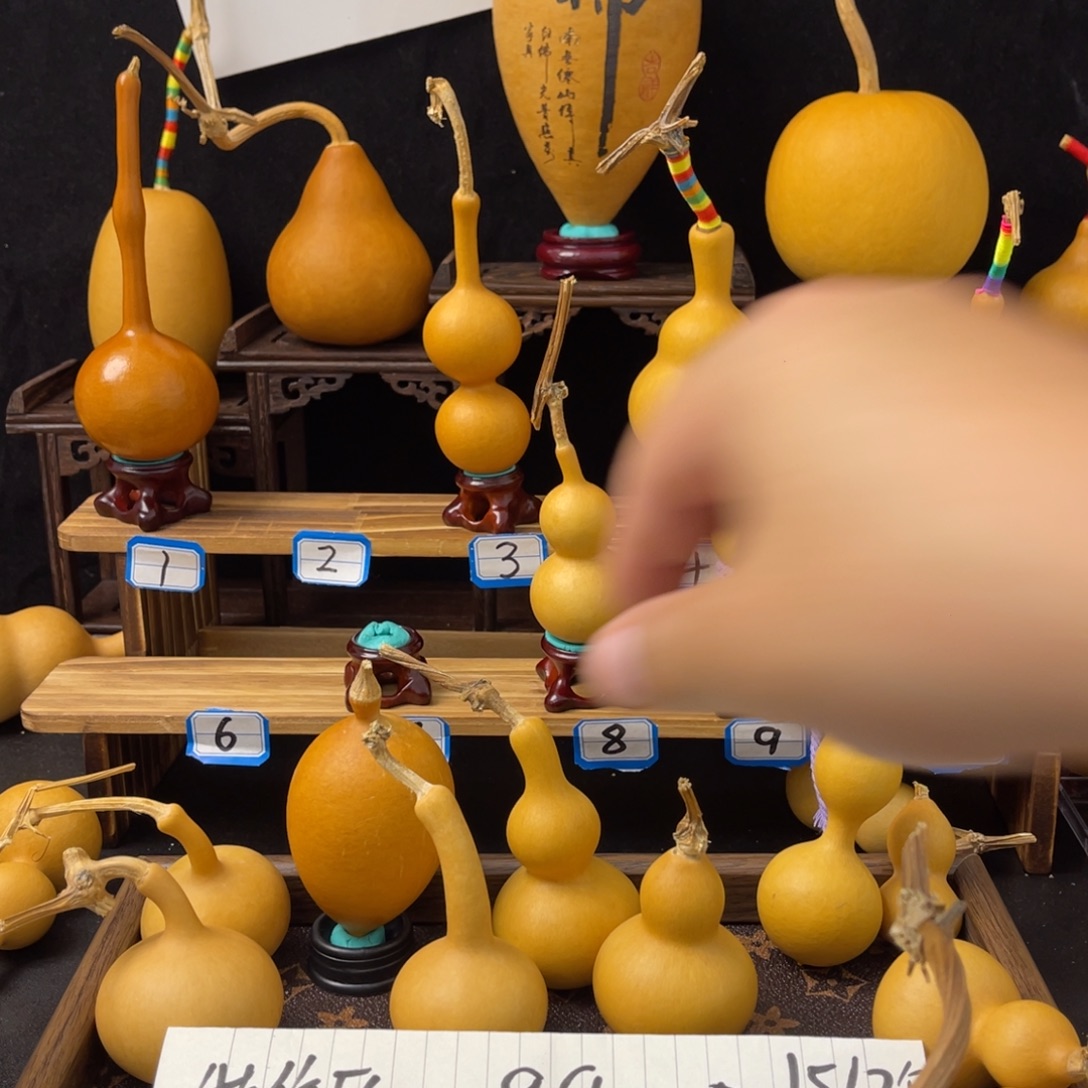 一个补拍的价格买