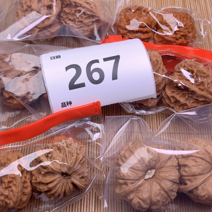 文玩核桃把件267号6对带练手南瓜墩