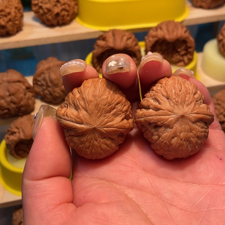 官方网站发布消息