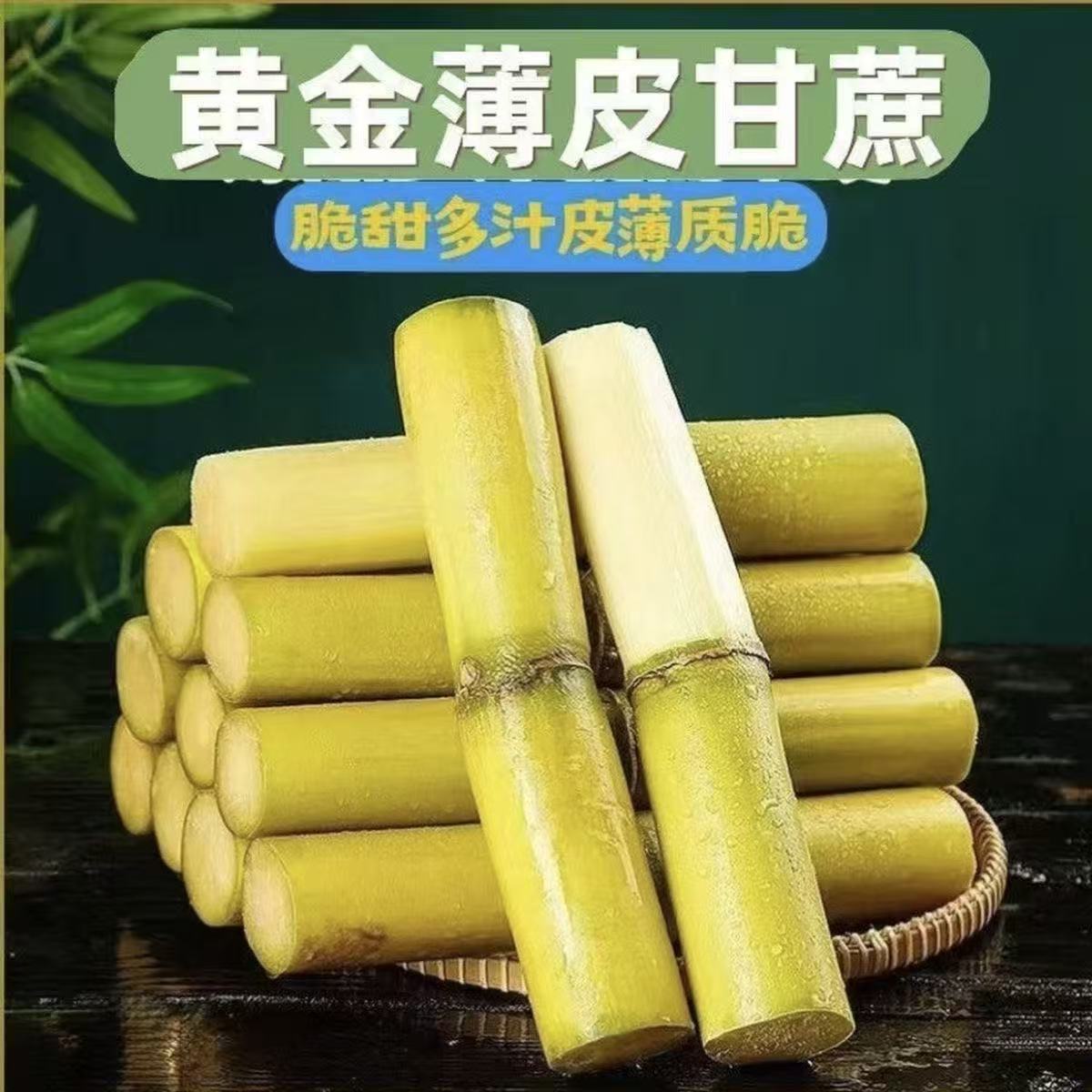 m黄金甘蔗现砍现发脆甜多汁当季新鲜水果
