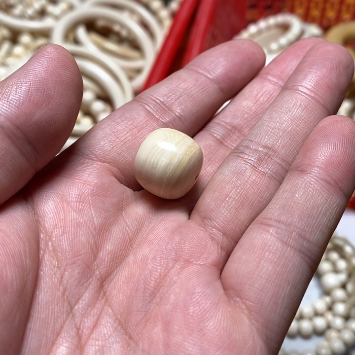 手串/手链贝壳?****d猛犸牙