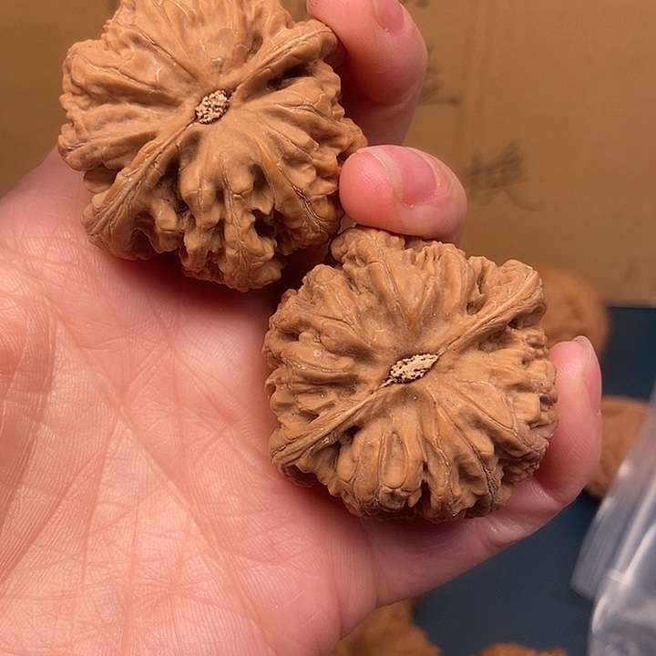 捣***哥大大大大大粗筋歪