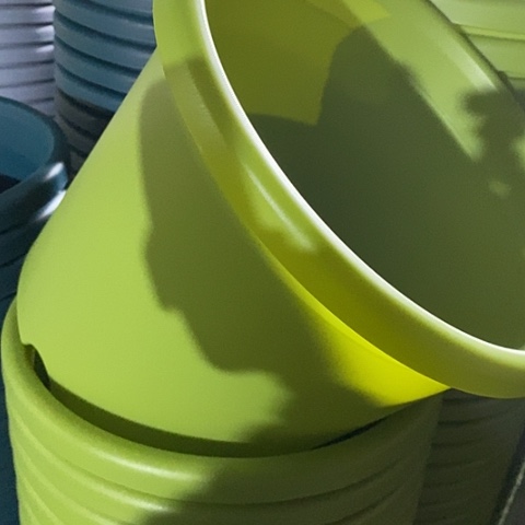 树脂四季5号果绿无托6个特价