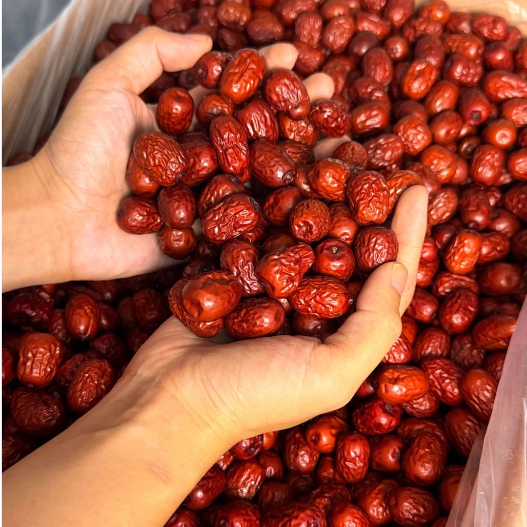  【福利品】四川菌王手选红枣 新货干货