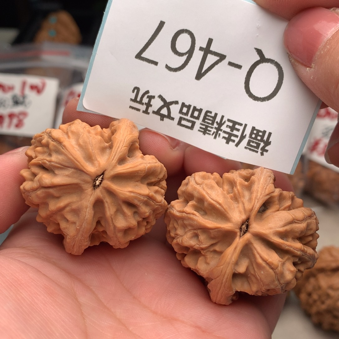 文玩核桃把件39大沽石……….