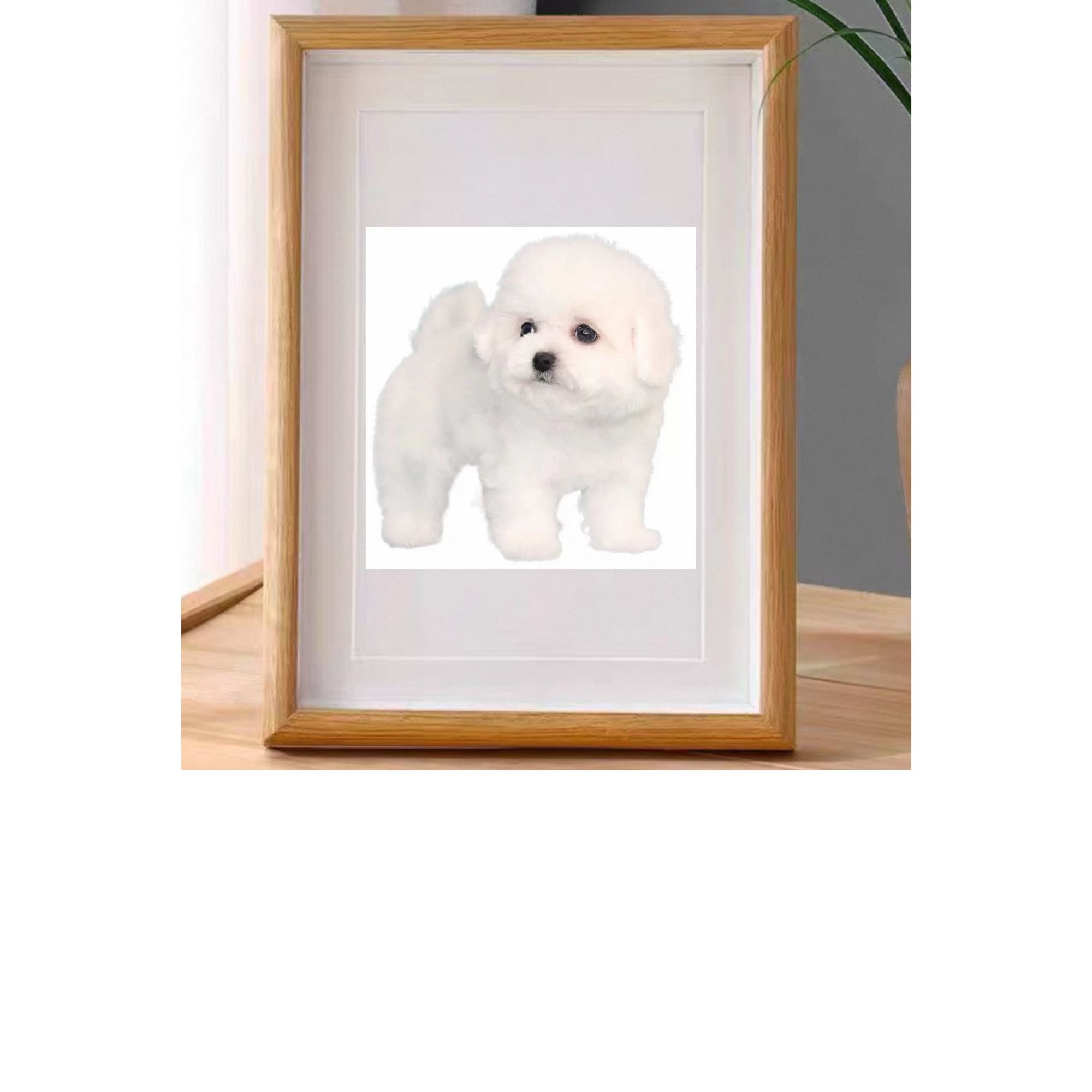 自选小型柴犬博美泰迪比熊宠物相册