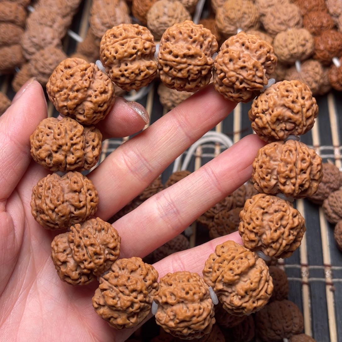 菩提尼泊尔大金刚深沟梅花双龙24+