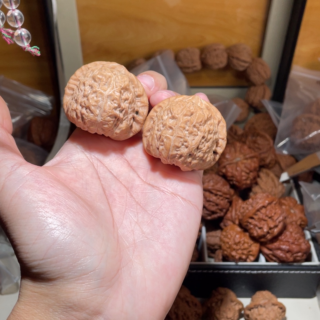 44➕全品无修南瓜狮子头