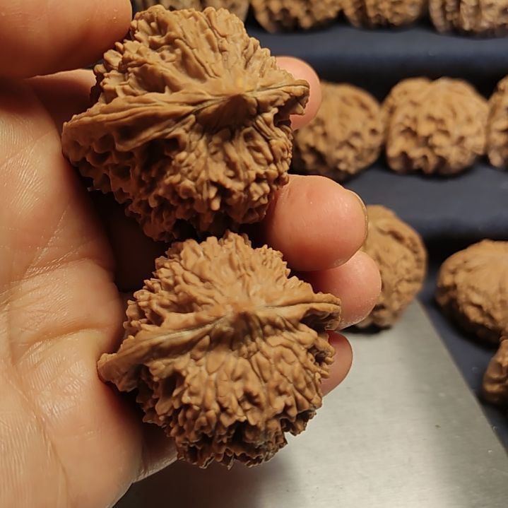 文玩核桃把件42的黄尖满天星