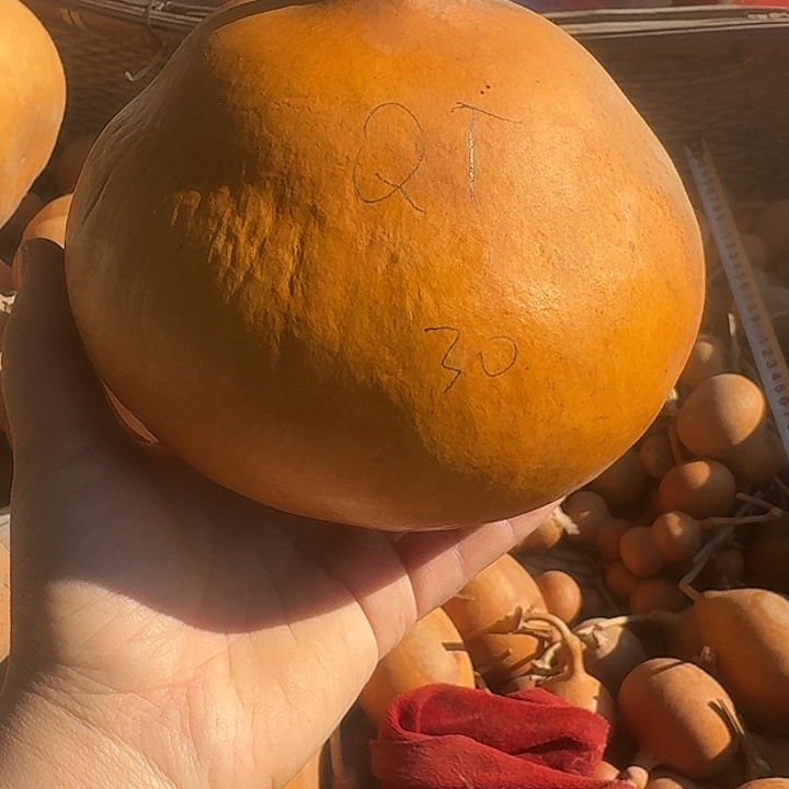 QT葫芦葫芦葫芦葫芦