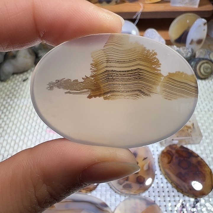 鹿***鸣玛瑙/玉髓未镶嵌颈饰