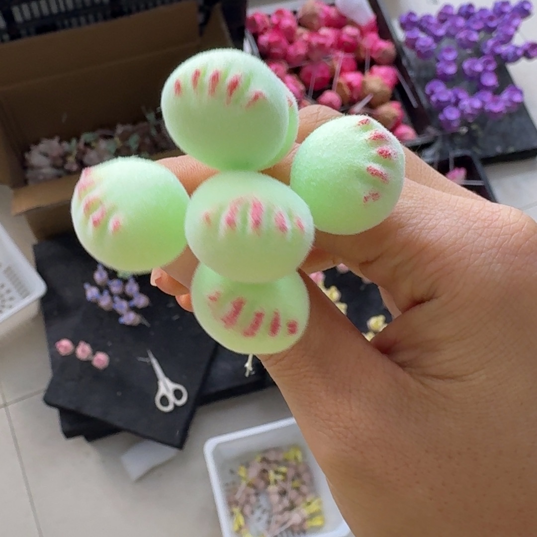 树脂制品6号莫莫莫