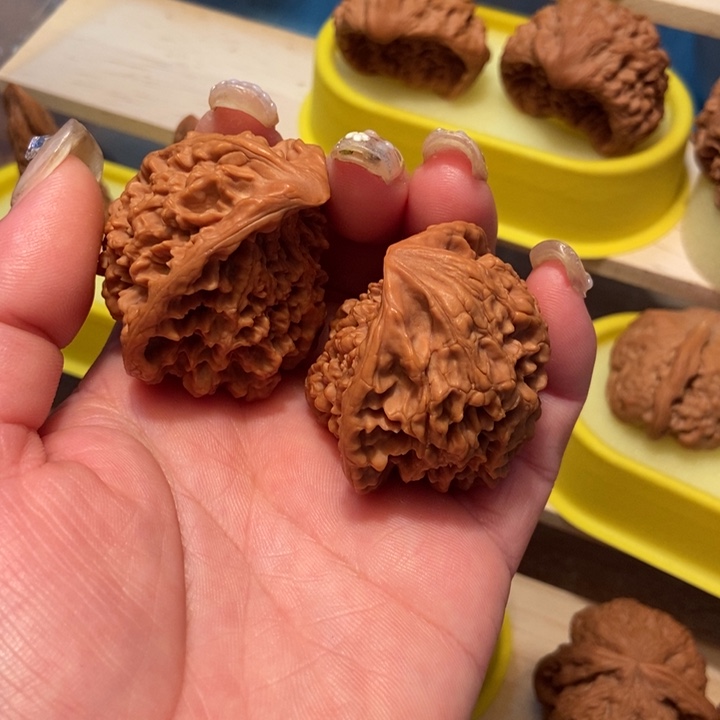 官方网站发布消息