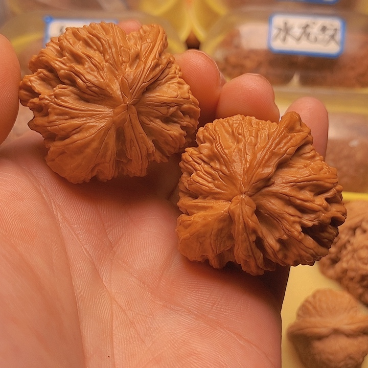 文玩核桃把件木*杨46白狮子牛角