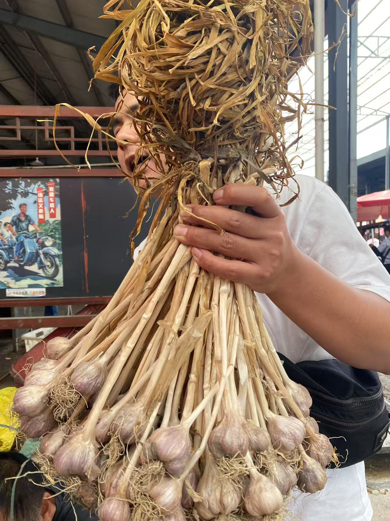 云南腾冲本地把把蒜