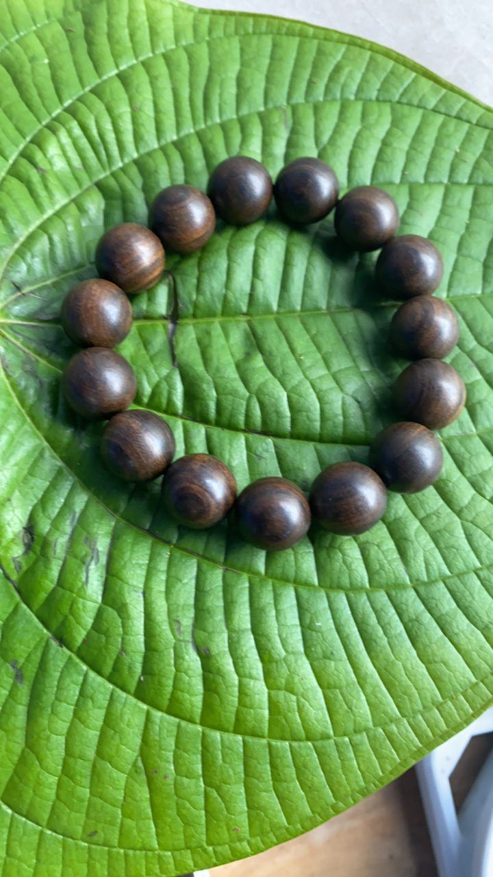 【阿雅专属南北】1019菇25g起