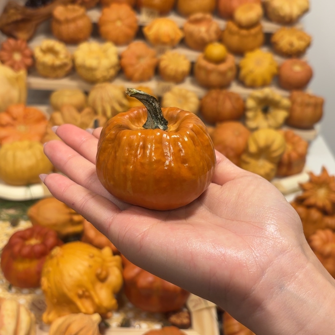 返红色响籽小南瓜