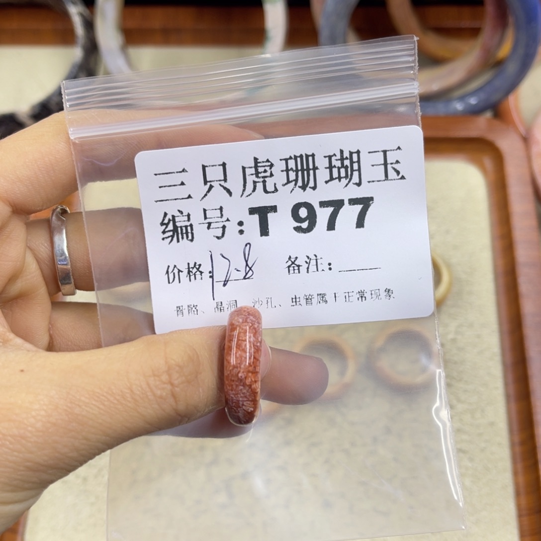 阳***照硅化珊瑚（珊瑚玉）未镶嵌h