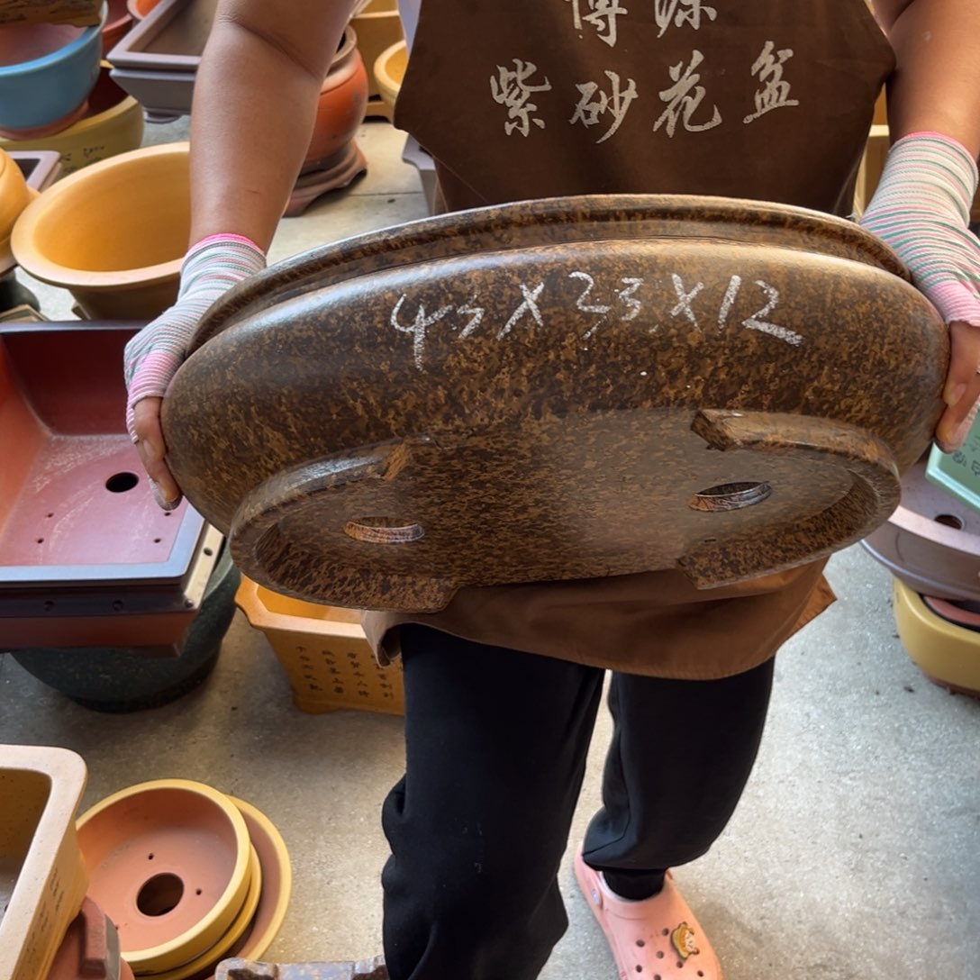 紫砂花盆盆景艺术