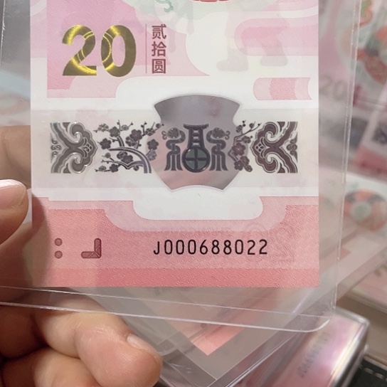 塑料2025年纪念钞蛇年靓号