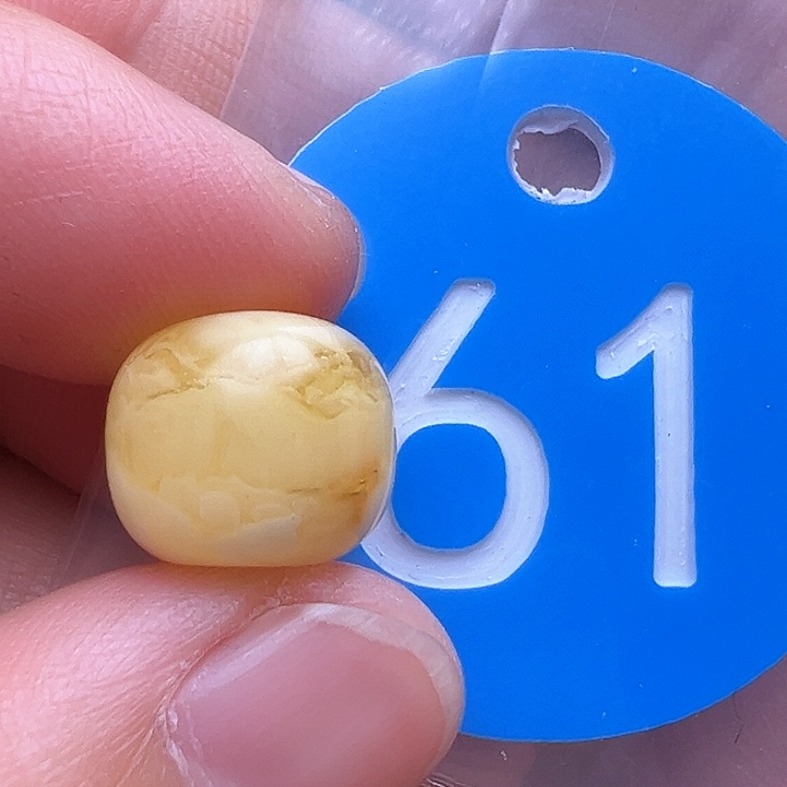 蜜蜡裸石未镶嵌微瑕12m m
