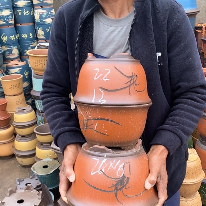 紫砂花盆紫砂花盆