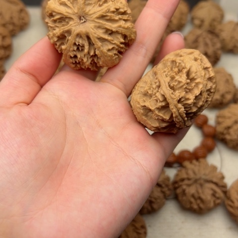 桃核吊坠装****板秦岭山脉的一个8