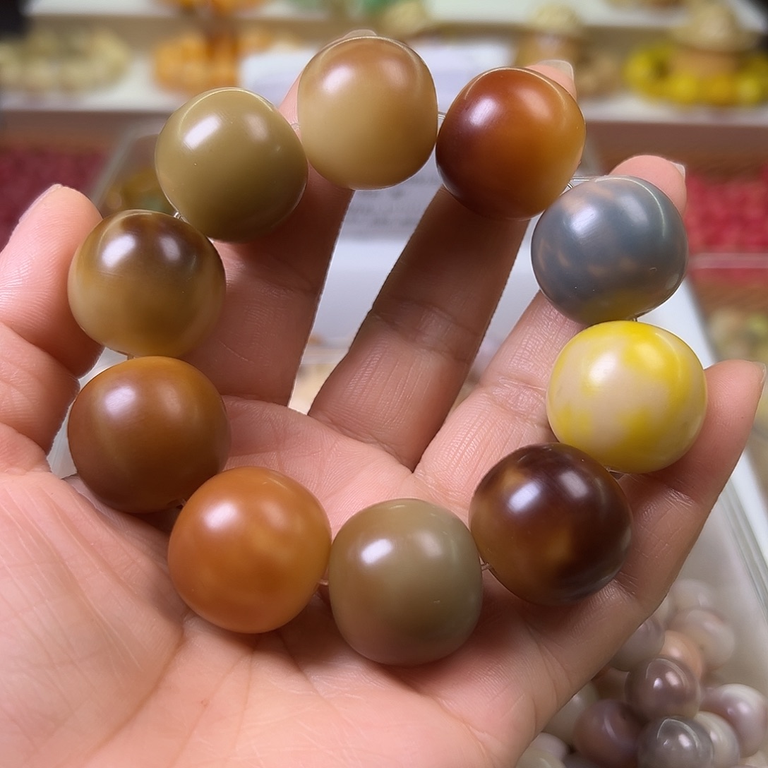 菩提根/象牙果手串卡23敦煌干磨平果1条