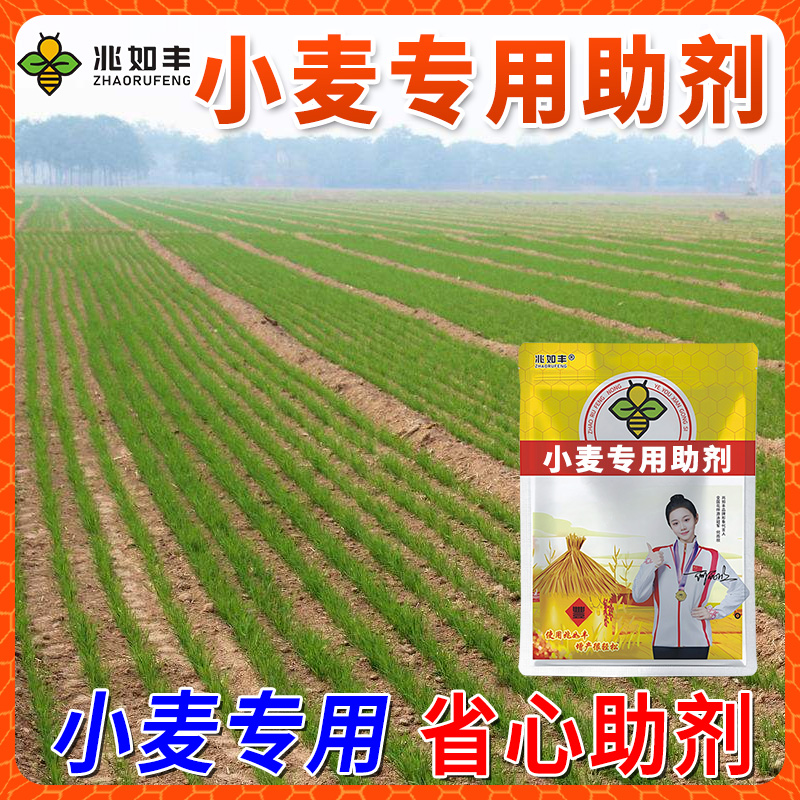 兆如丰小麦专用助剂种植大户使用小麦省心省力新升级正品农用助剂
