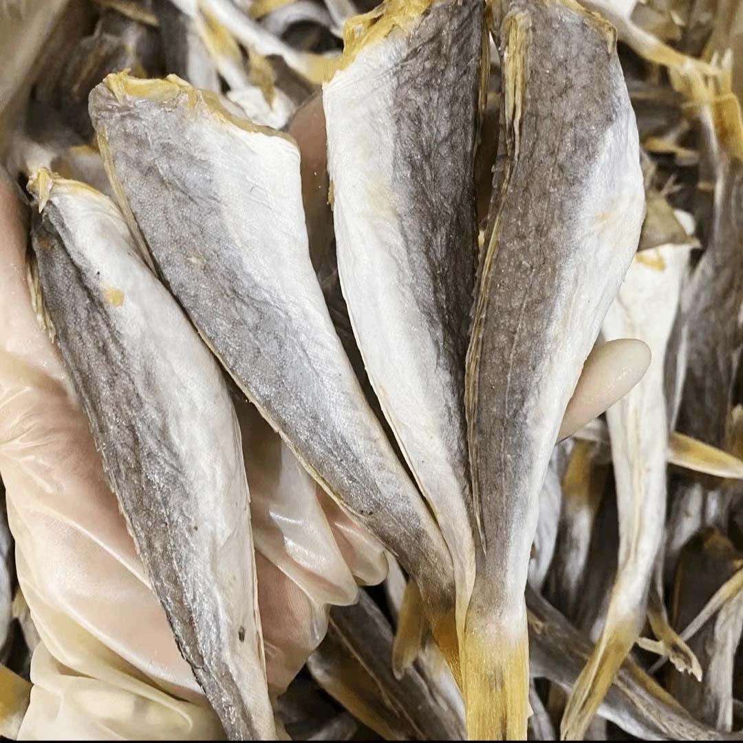 湛江角条鱼红娘鱼干海鲜干货咸鱼干淡晒角鱼风足干特产